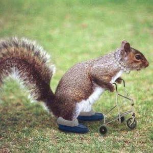 Meet your Posher, Ann